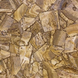 Fossil Figure